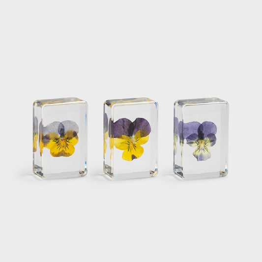 CUBE PENSÉE